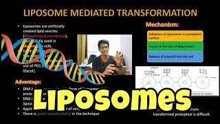 Liposome Mediated Transformation  Genetic Engineering  English  Gene Transfer  ThiNK VISION [upl. by Eveivenej]