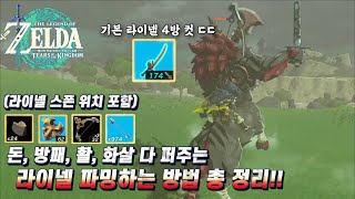 젤다의 전설 왕국의 눈물 돈 방패 활 화살 다 퍼주는 라이넬 파밍하는 방법 총 정리 [upl. by Crispas]