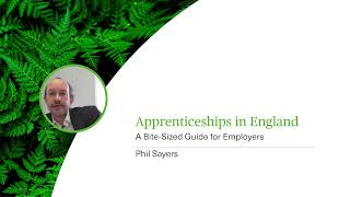 Apprenticeships in England  A BiteSized Guide for Employers  Webinar [upl. by Gilead]