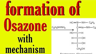 formation of osazone mechanism glucose fructose osazone formation bsc 3rd year organic chemistry [upl. by Ylelhsa]