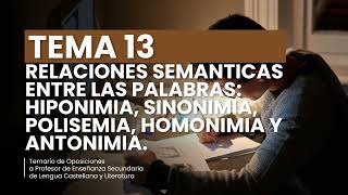 TEMA 13 RELACIONES SEMÁNTICAS ENTRE LAS PALABRAS [upl. by Christen150]