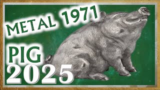 ✪ Pig Horoscope 2025  Metal Pig 1971  January 27 1971 to February 14 1972 [upl. by Ahseenal]