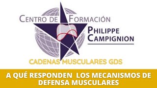 A QUÉ RESPONDEN LOS MECANISMOS DE DEFENSA MUSCULARES [upl. by Iroc]