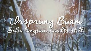 Ursprung Buam Schia langsam weachts still [upl. by Neilla]