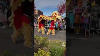 I took part in a parade as a lion Kung Fu did good [upl. by Esinad190]