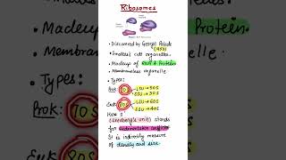 ShortRibosomeCellNCERTNEETBiilogy [upl. by Ketchum]