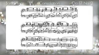 Bortkiewicz Consolation Op 17 No 2 Garritan Yamaha CFX Piano [upl. by Clarkin]