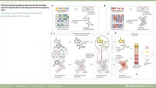 Physicochem GNN for proteinligand interactions from seq Koh Webb Nat Machine Intelligence 2024 [upl. by Potash114]