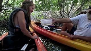 Kayak Tour Key West at Dusk [upl. by Nutter66]