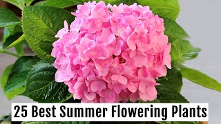 Grow These 25 BEST Summer Flowering Plants This Season  PART 1 [upl. by Dnomde370]