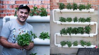 How To Make inexpensive Hydroponic System and start Hydroponics Garden At home 2021 [upl. by Thant]