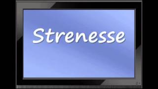 German Fashion  How to Pronounce Strenesse [upl. by Nairahcaz]