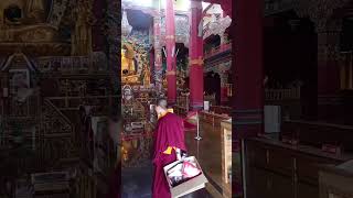 Bhutan Temple visit with my  Spouse  Please Subscribe my Channel 🇮🇳🇮🇳🇮🇳🇮🇳🇮🇳🇮🇳🇮🇳🇮🇳🇮🇳 [upl. by Holms561]