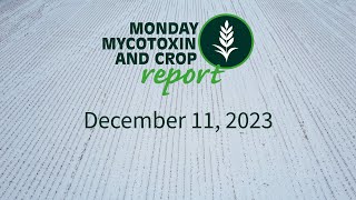 Monday Mycotoxin and Crop Report for December 11 2023 [upl. by Akkin]