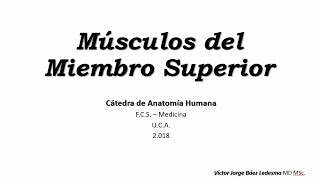 musculos del miembro superior [upl. by Akcinat]