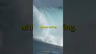 Top 3 Worst Surfing Fails surfing [upl. by Minni]