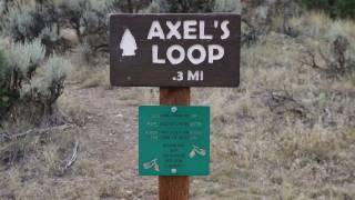 Axels Loop [upl. by Wilkinson]