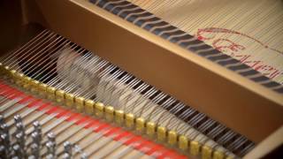 Features of a Boston Piano  Designed by Steinway amp Sons [upl. by Jacquelin]