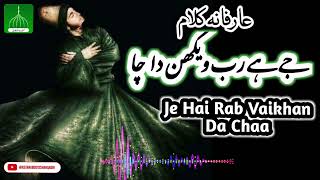 Je Ha Rab Vekhan Da Chaa  Beautiful Sufi Kalam  Akhiyaan ch tu wasdaa  Teri deed da chaa [upl. by Ludovick]