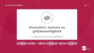 Diversiteit inclusie en gelijkwaardigheid  In gesprek met de Inclusiefabriek [upl. by Taro136]