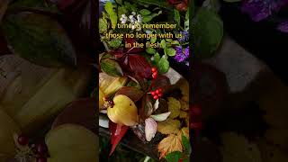 Autumn Equinox Blessings Altar of Beauty Bounty and Remembrance pagan Spirits [upl. by Ykciv]