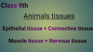 Animal tissues in urduhindi [upl. by Rist]