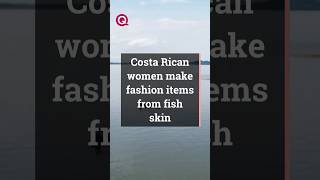 Women craft sustainable fashion from fish skins in Costa Rica [upl. by Dadinirt]