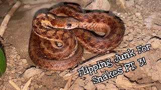 Flipping For Snakes In Ohio PT 3 [upl. by Eleira412]