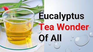 Eucalyptus Tea Wonder Of All [upl. by Arekahs345]