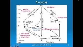 SIR2017 Lecture on Geochemical Cycling N S C etc [upl. by Neenad347]