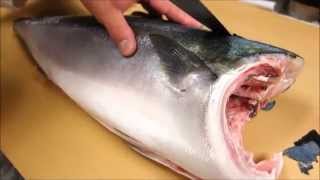 How To Fillet a Whole Hamachi  How To Make Sushi Series [upl. by Sumerlin]