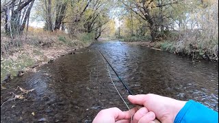 Fly Fishing an urban stream for trout and bass [upl. by Asilef]