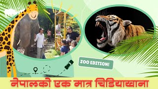 Central Zoo  Only zoo of Nepal  Lalitpur Kathmandu [upl. by Nappy84]