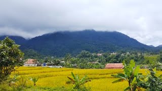 O Mandailing lagu lama Mariati [upl. by Montanez]