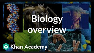 GCSE Biology Revision quotExercisequot [upl. by Atyekram]