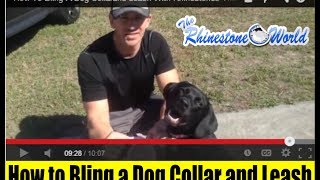 How To Bling a Dog Collar and Leash with Rhinestones [upl. by Stock]