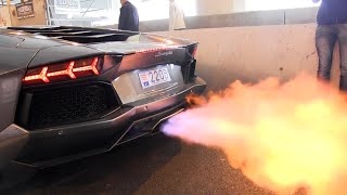 The BEST LAMBORGHINI AVENTADOR Engine SOUNDS Ever [upl. by Woodhouse]