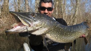 Gros brochets au Dexter shad ILLEX Big PIKE [upl. by Atenahs]