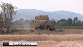 Egyre több mezőgazdasági gép jelenik meg az utakon térségünkben is [upl. by Talley970]