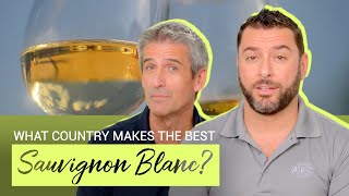 What Country Makes the Best Sauvignon Blanc [upl. by Ahsaz]