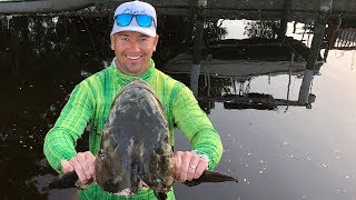 Caught the BIGGEST COBIA of my Life [upl. by Tezil]