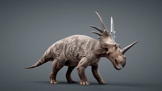 Styracosaurus Sound Effects [upl. by Adiv733]