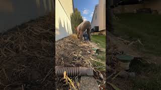 Fall Clean Up Bye Bye 👋 lawn lawncare landscaping fallcleanup columbusohio oaklandslawn [upl. by Renckens]