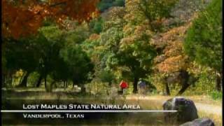 Lost Maples State Natural Area Texas [upl. by Murray]