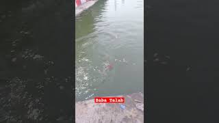 Baba talab Jhiri Jammu Akhnoor road Baba Talab Fish Mela jhiri 15November 2024 shortvideo jhiri [upl. by Leasim]