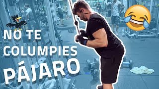 Extensión de triceps en polea en 1 minuto FORTALECER TRÍCEPS [upl. by Elise]