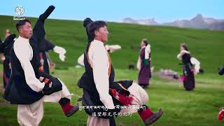 Tibetan Gorshey Song 2023 གཟིམ་བྲོ་བཀྲ་ཤིས་ཡར་འགྲོ། [upl. by Kissel]