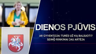 Ar gyventojai turės už ką balsuoti Seimo rinkimai jau artėja  DIENOS PJŪVIS [upl. by Ahsimat]