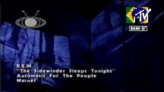 REM  The Sidewinder Sleeps Tonight [upl. by Narcho]