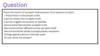 Place the events of synaptic transmission from earliest to latest  Place these in the proper order [upl. by Ardnovahs]